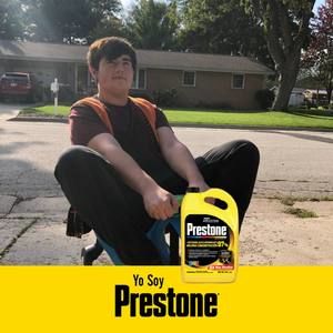 Meet your Posher, Gavin